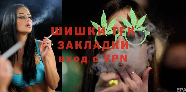 дмт Алексин