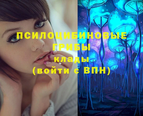 дмт Алексин