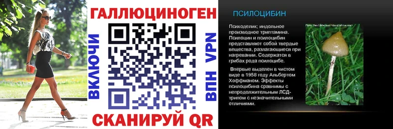 KRAKEN ТОР  Мичуринск  Псилоцибиновые грибы мухоморы 
