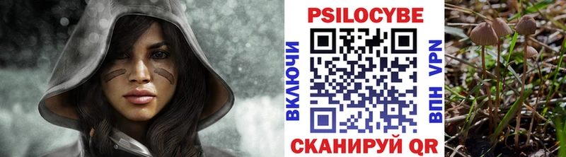 Псилоцибиновые грибы MAGIC MUSHROOMS Мичуринск